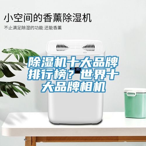 蘑菇视频网站十大品牌排行榜？世界十大品牌相機