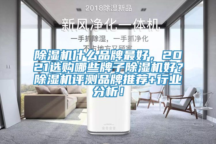 蘑菇视频网站什麽品牌最好，2021選購哪些牌子蘑菇视频网站好？蘑菇视频网站評測品牌推薦+行業分析！