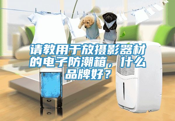 請教用於放攝影器材的電子防潮箱，什麽品牌好？