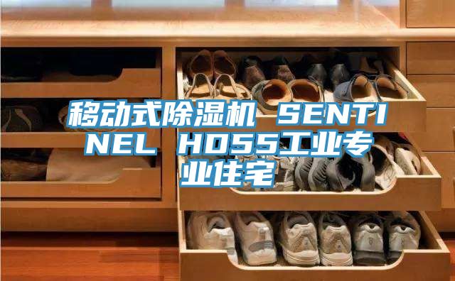 移動式蘑菇视频网站 SENTINEL HD55工業專業住宅