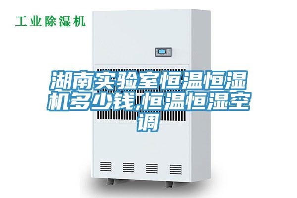 湖南實驗室恒溫恒濕機多少錢,恒溫恒濕空調