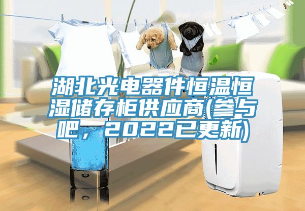 湖北光電器件恒溫恒濕儲存櫃供應商(參與吧，2022已更新)