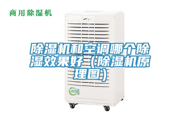 蘑菇视频网站和空調哪個除濕效果好（蘑菇视频网站原理圖）