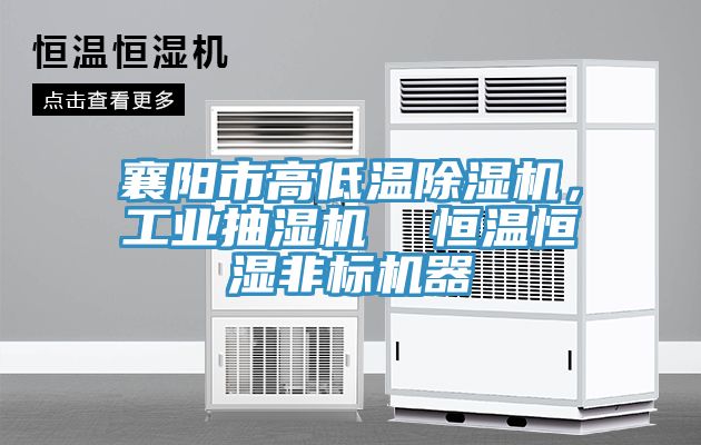 襄陽市高低溫蘑菇视频网站，工業抽濕機  恒溫恒濕非標機器