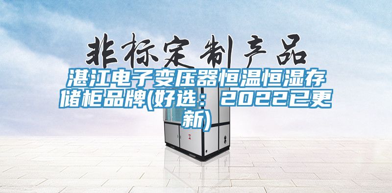 湛江電子變壓器恒溫恒濕存儲櫃品牌(好選：2022已更新)