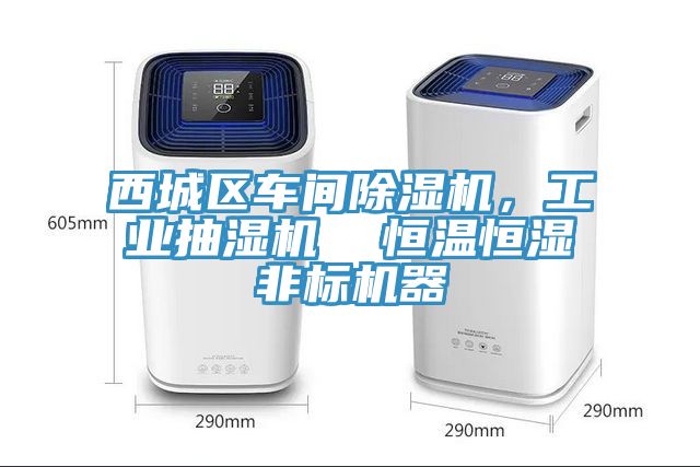 西城區車間蘑菇视频网站，工業抽濕機  恒溫恒濕非標機器