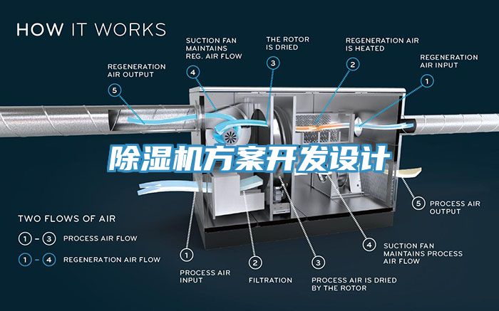 蘑菇视频网站方案開發設計