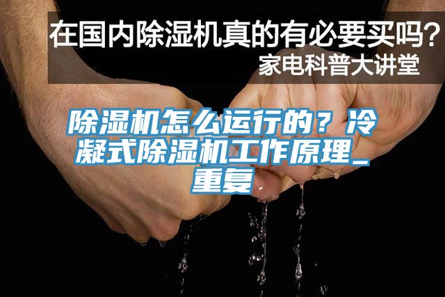 蘑菇视频网站怎麽運行的？冷凝式蘑菇视频网站工作原理_重複