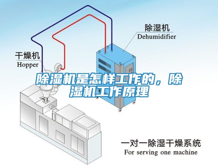 蘑菇视频网站是怎樣工作的，蘑菇视频网站工作原理