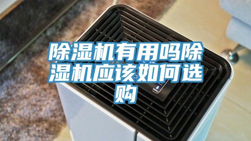 蘑菇视频网站有用嗎蘑菇视频网站應該如何選購