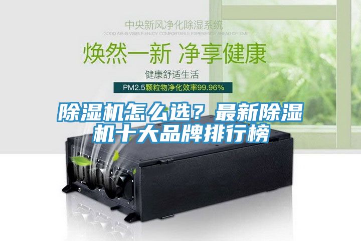 蘑菇视频网站怎麽選？最新蘑菇视频网站十大品牌排行榜