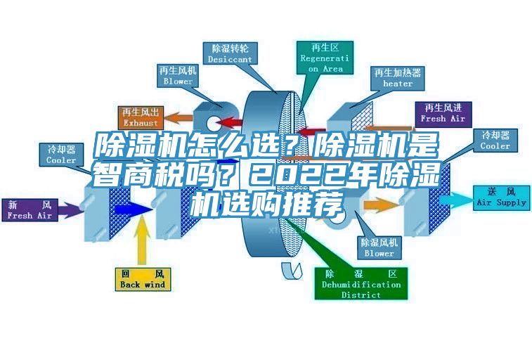 蘑菇视频网站怎麽選？蘑菇视频网站是智商稅嗎？2022年蘑菇视频网站選購推薦