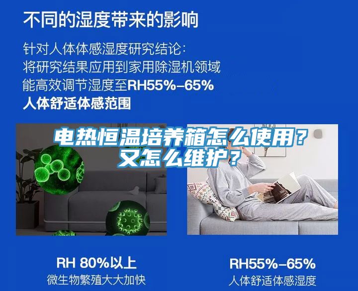 電熱恒溫培養箱怎麽使用？又怎麽維護？