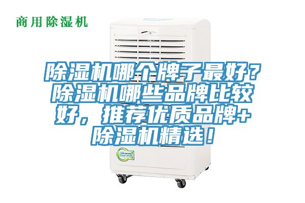 蘑菇视频网站哪個牌子最好？蘑菇视频网站哪些品牌比較好，推薦優質品牌+蘑菇视频网站精選！