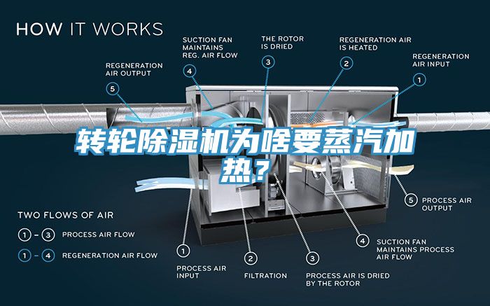 轉輪蘑菇视频网站為啥要蒸汽加熱？