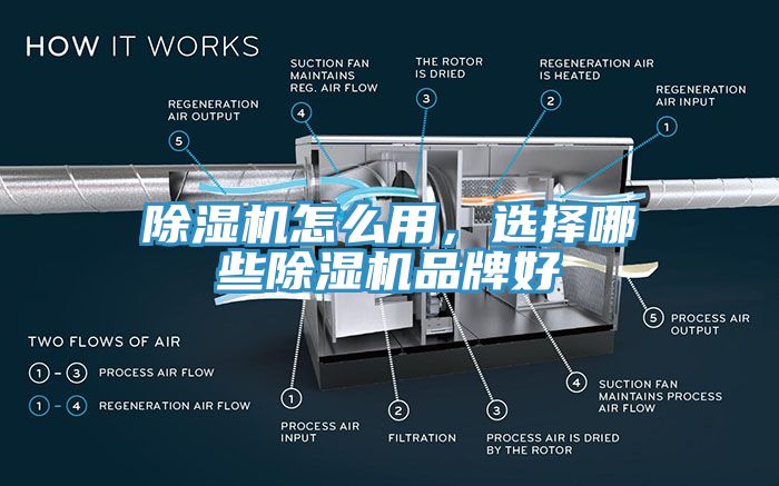 蘑菇视频网站怎麽用，選擇哪些蘑菇视频网站品牌好